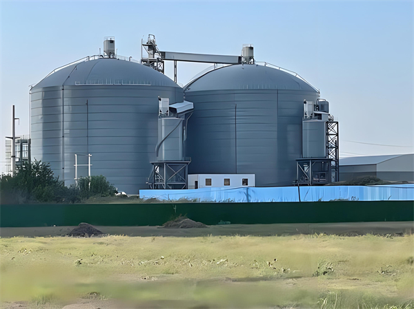六安钢板仓建造施工方案详解